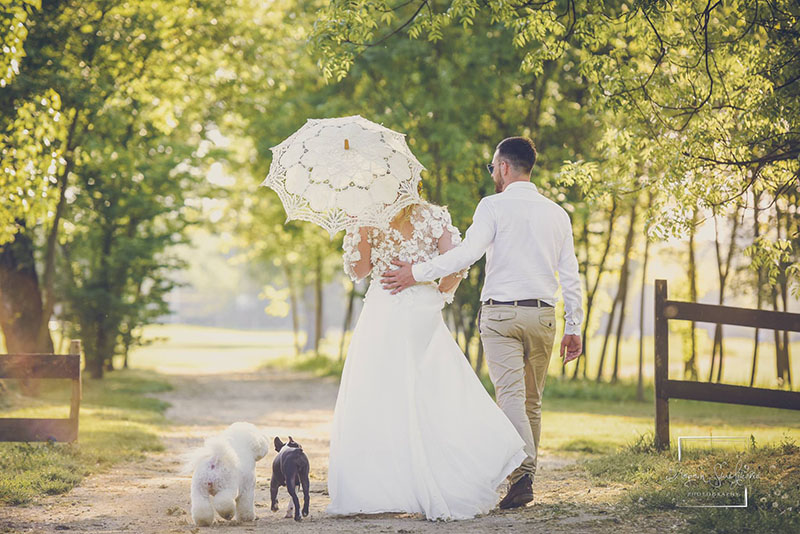 Post wedding foto book - Ada Ciganlija - Dragan Smiljković