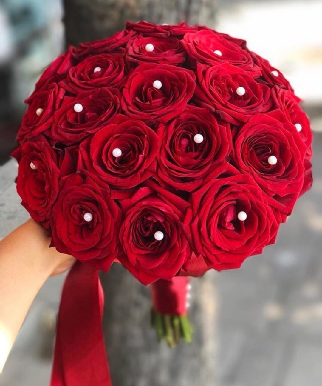 crvene ruze -simbolika cveta
