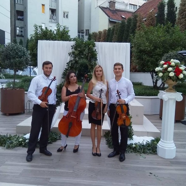 Crystal Strings Quartet