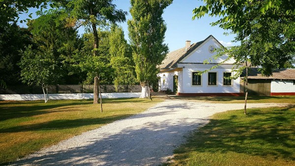 Dida Hornjakov