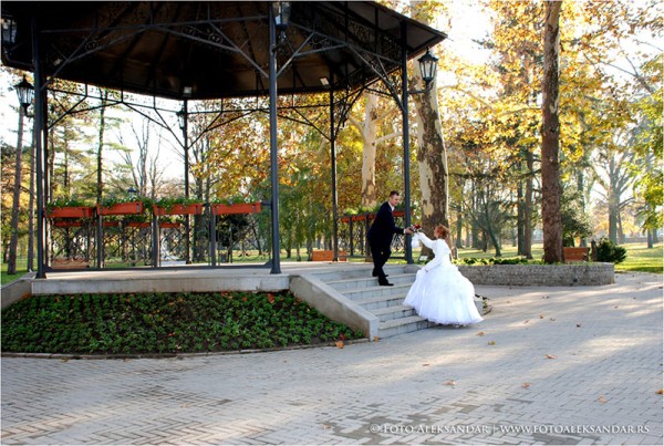 Aleksandar Foto