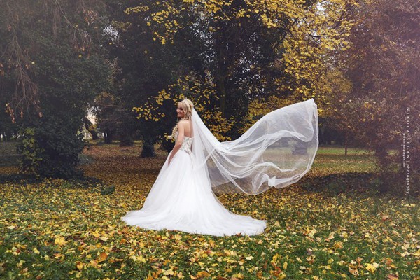 Nikola Šegan Photography