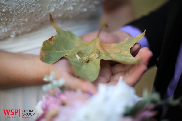 Wedding Studio Pro Dplus