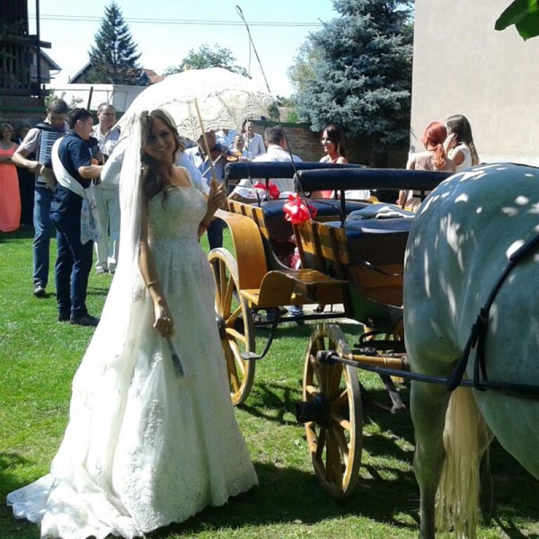 Iznajmljivanje fijakera