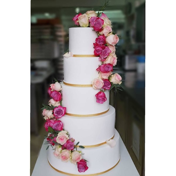 Dolce by Tintolino Family