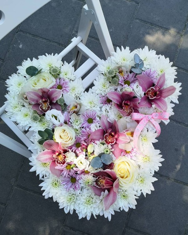 Cvećara Bonsai Novi Pazar