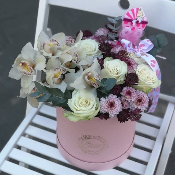 Cvećara Bonsai Novi Pazar