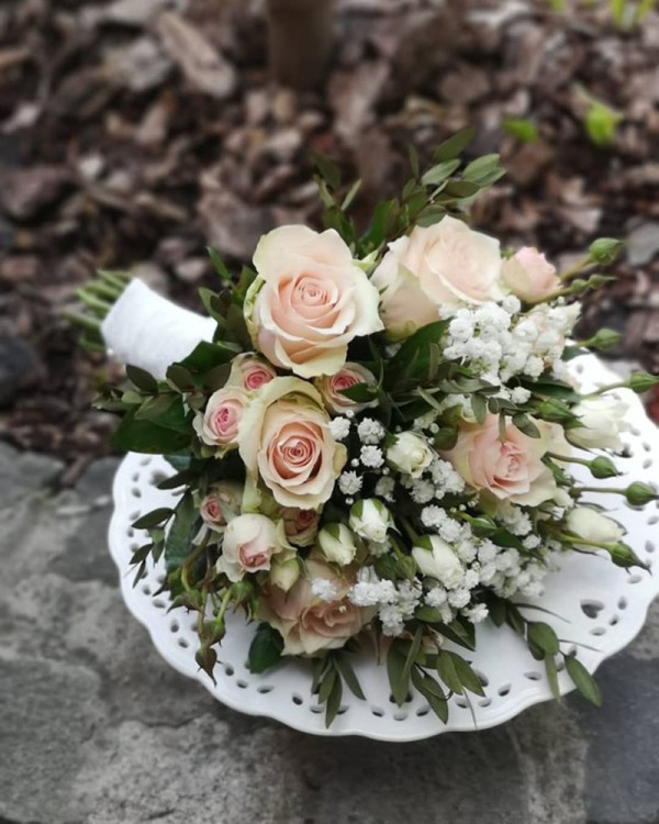 Cvećara Bonsai Novi Pazar