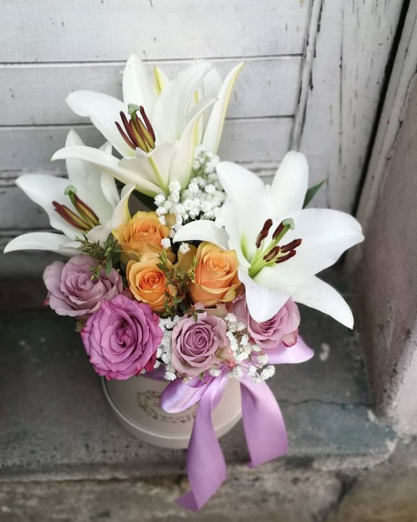 Cvećara Bonsai Novi Pazar