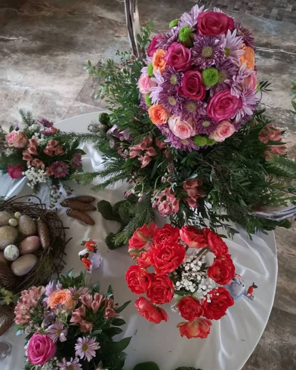 Cvećara Bonsai Novi Pazar