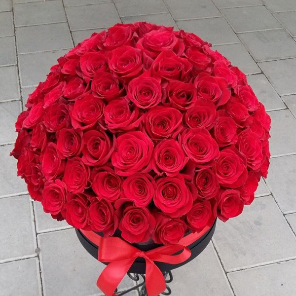 Cvećara Bonsai Novi Pazar