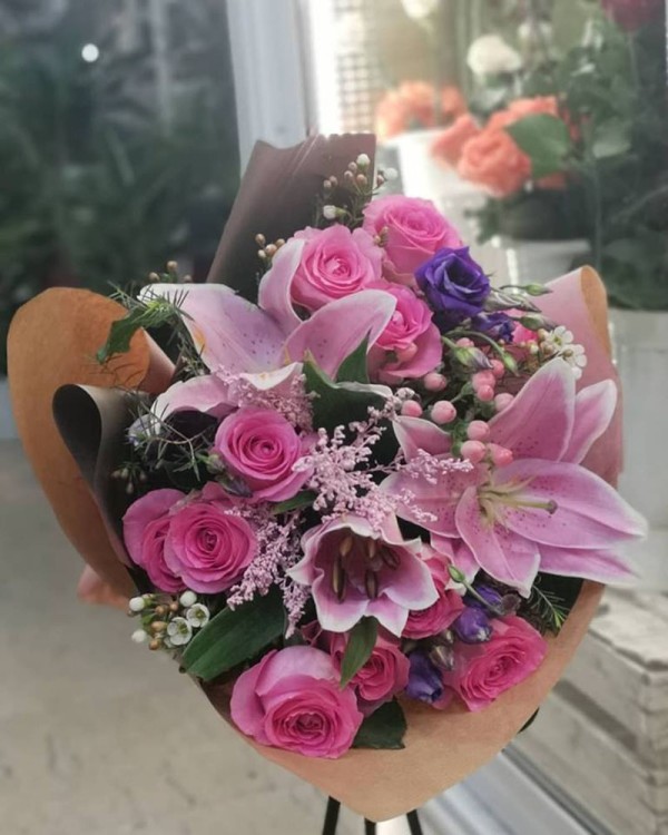 Cvećara Bonsai Novi Pazar