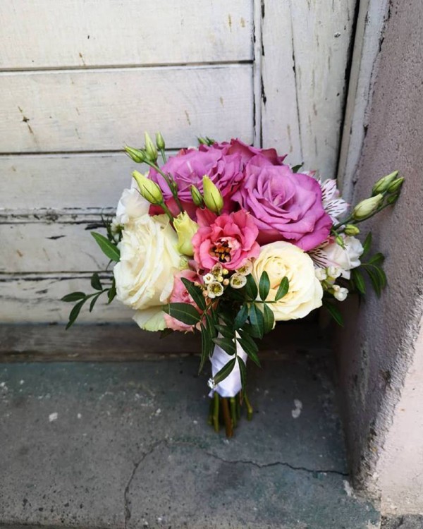 Cvećara Bonsai Novi Pazar