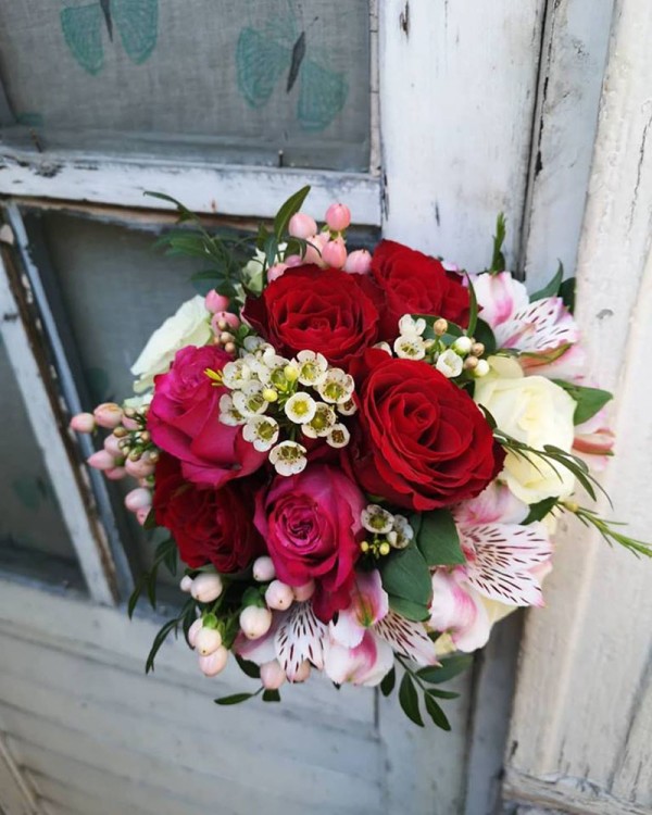 Cvećara Bonsai Novi Pazar