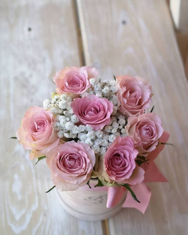 Cvećara Bonsai Novi Pazar