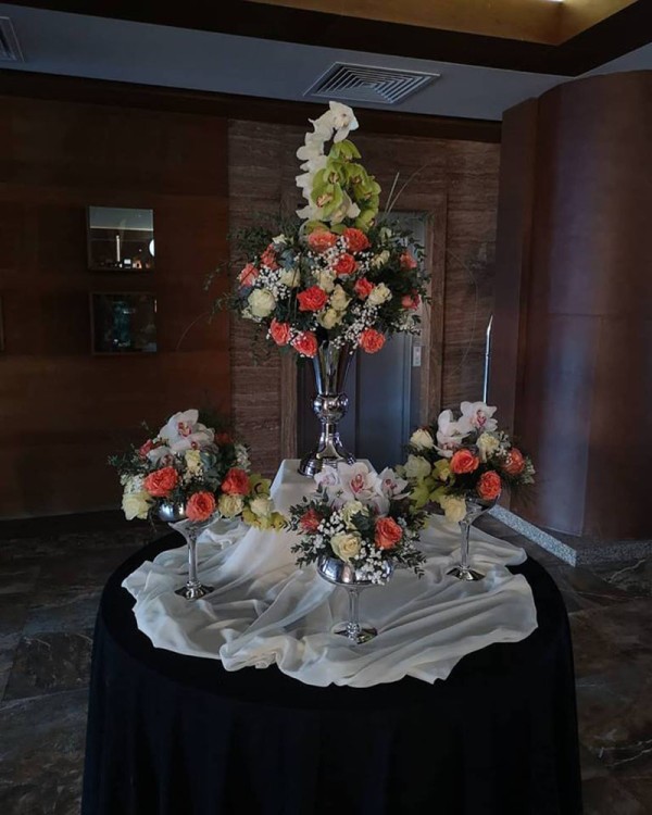 Cvećara Bonsai Novi Pazar