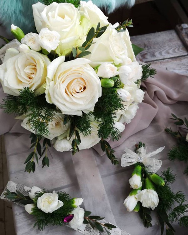 Cvećara Bonsai Novi Pazar