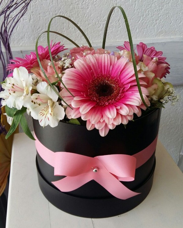 Cvećara Bonsai Novi Pazar