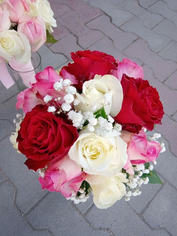 Cvećara Bonsai Zaječar