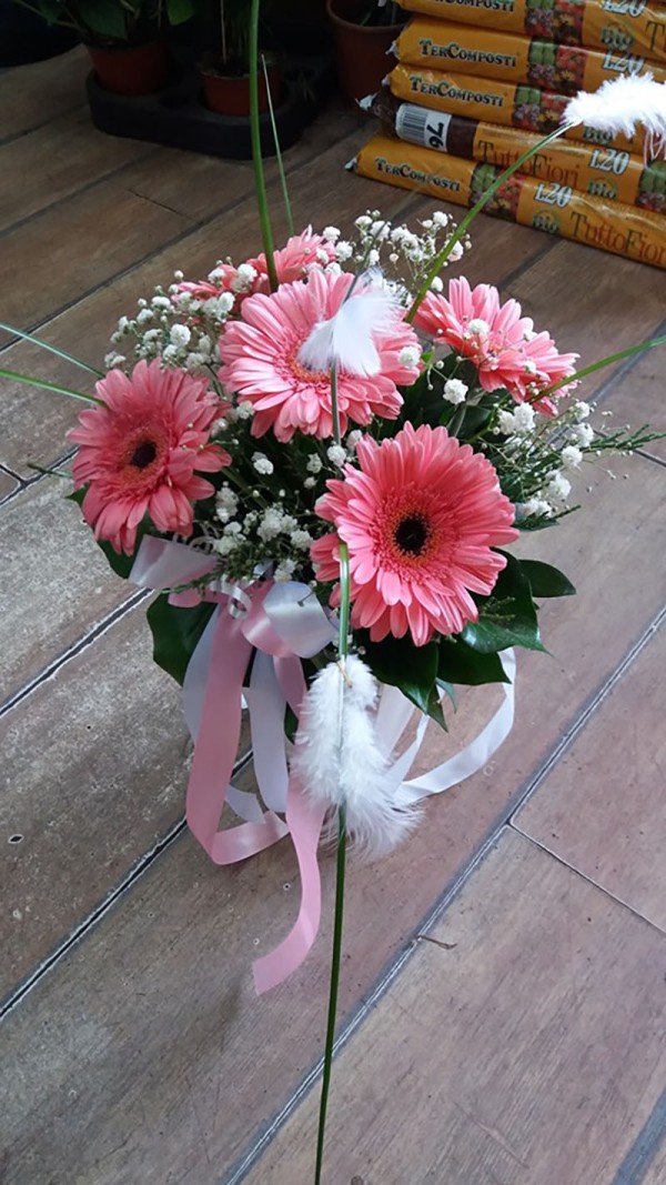 Cvećara Bonsai Zaječar