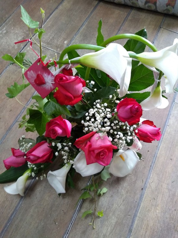 Cvećara Bonsai Zaječar