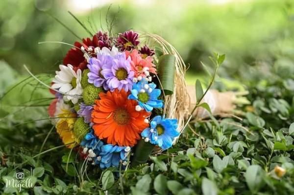 Cvećara Bonsai Zaječar