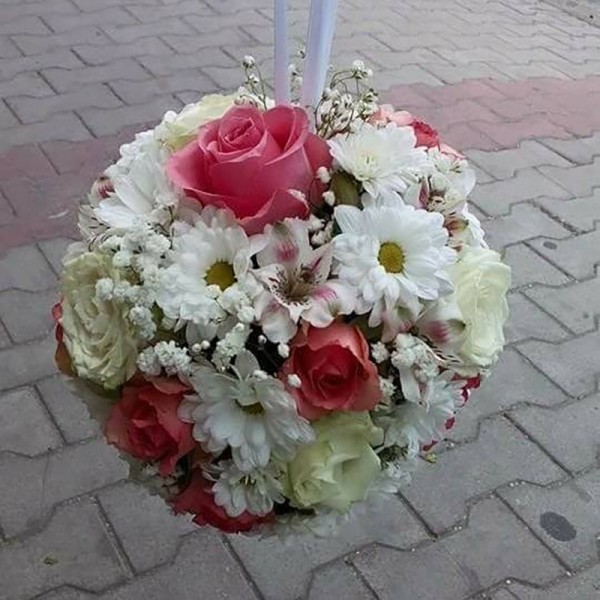 Cvećara Bonsai Zaječar