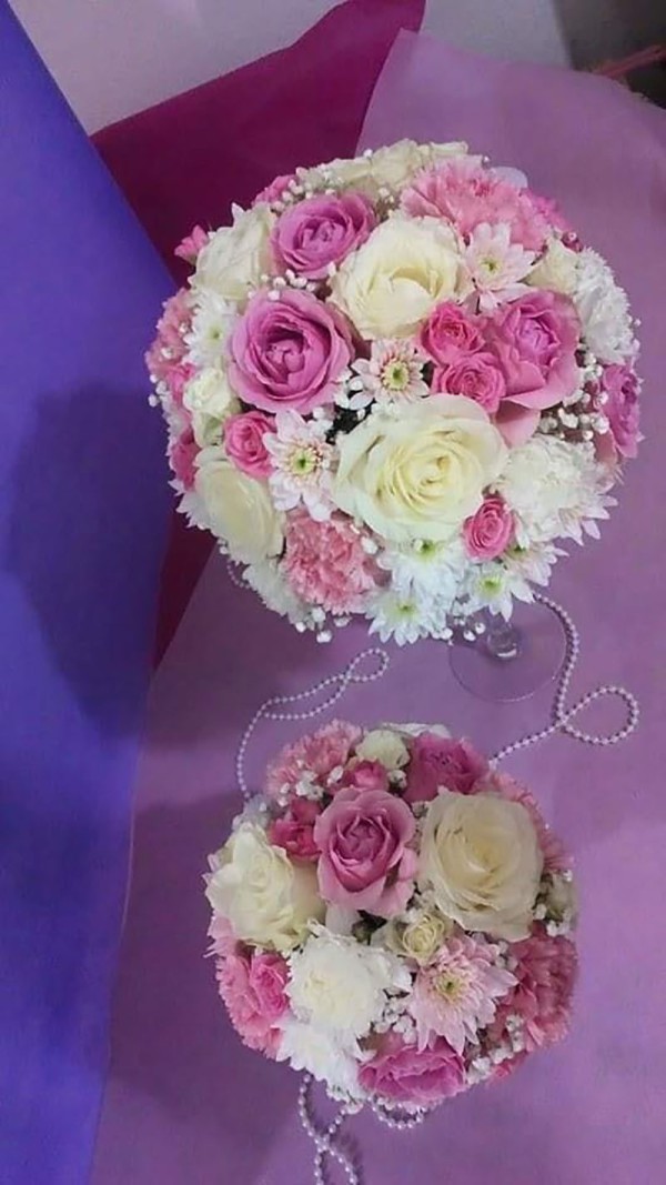 Cvećara Bonsai Zaječar