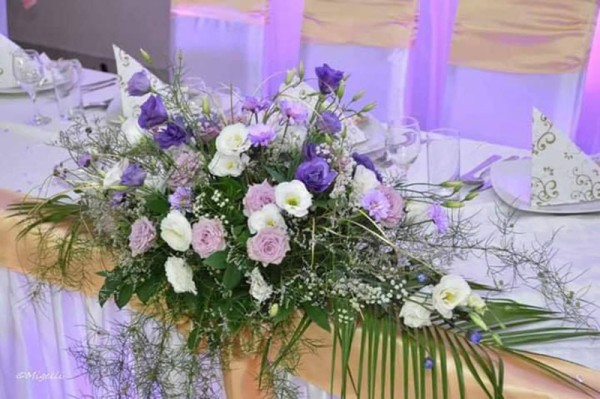 Cvećara Bonsai Zaječar