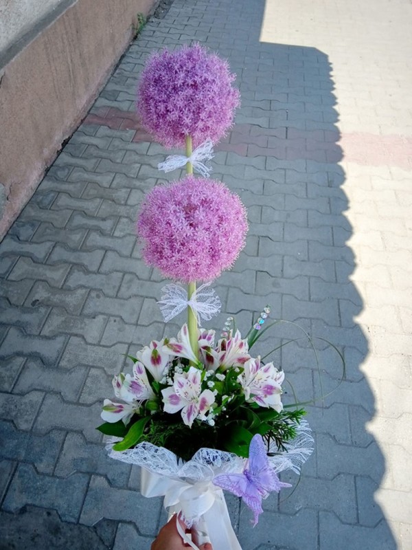 Cvećara Bonsai Zaječar