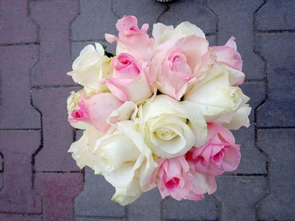 Cvećara Bonsai Zaječar