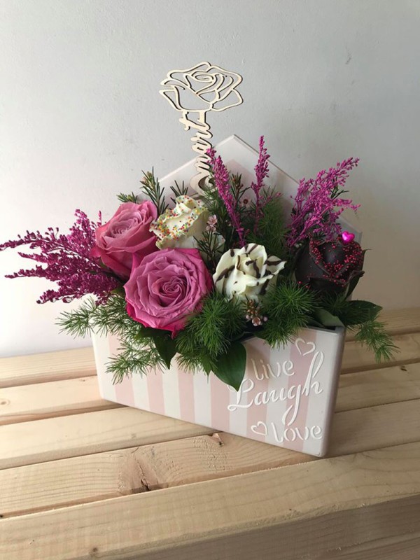 Bonsai Cvećara Leskovac