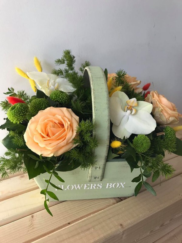 Bonsai Cvećara Leskovac