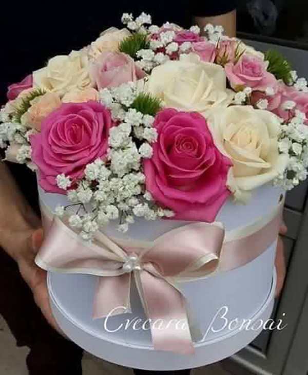 Bonsai Cvećara Leskovac