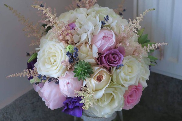 Bonsai Cvećara Leskovac