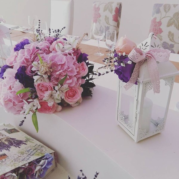 Bonsai Cvećara Leskovac