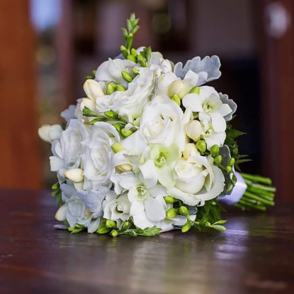 Bonsai Cvećara Leskovac