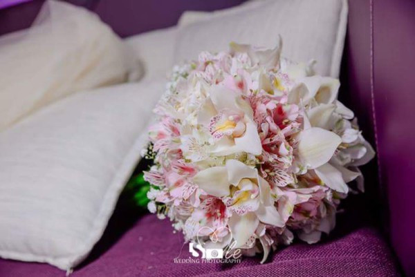 Bonsai Cvećara Leskovac