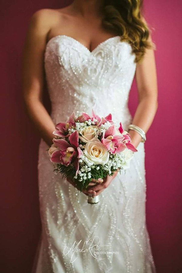 Bonsai Cvećara Leskovac