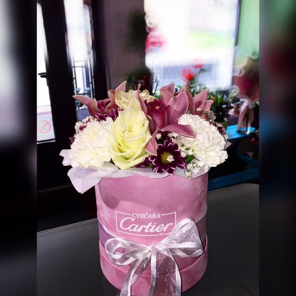 Cvećara Cartier Novi Sad