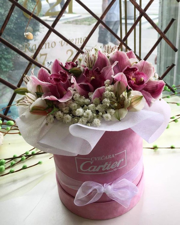 Cvećara Cartier Novi Sad