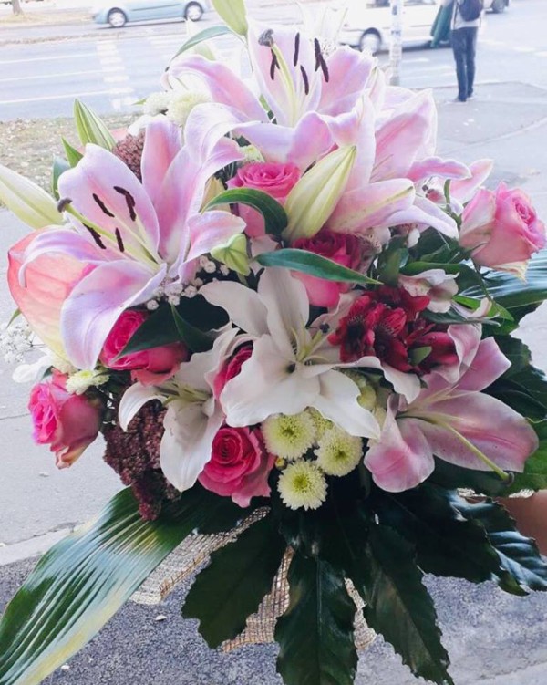 Cvećara Cartier Novi Sad