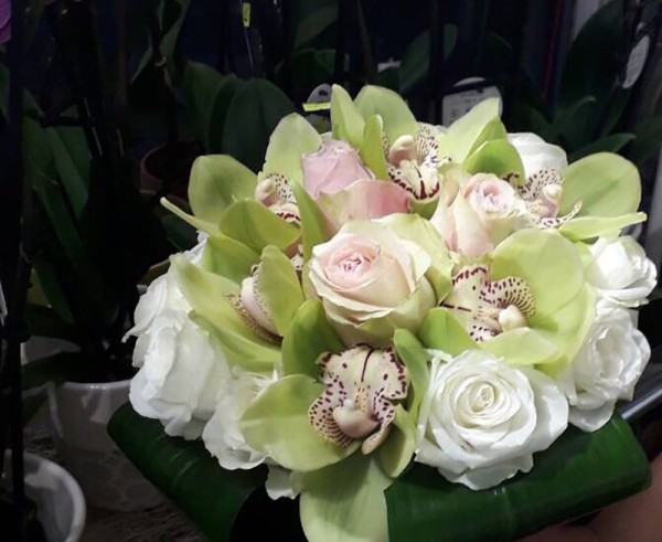 Cvećara Cartier Novi Sad