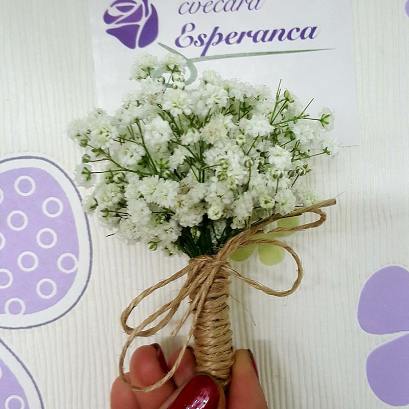 /uploads/vendors/1975/gallery/cvecara-esperanca-8.jpg