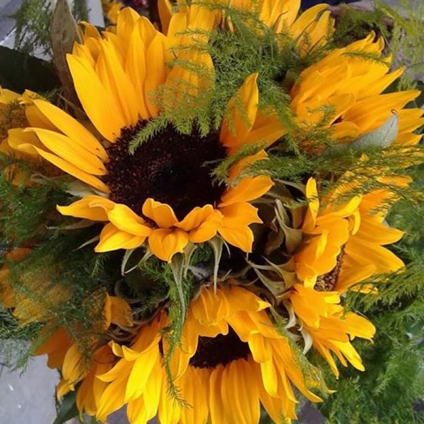 Cvećara Flower Shop