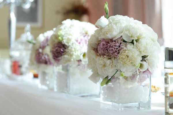 Cvećara Gerber - Florela