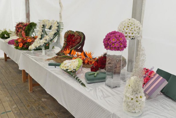 Cvećara Gerber - Florela