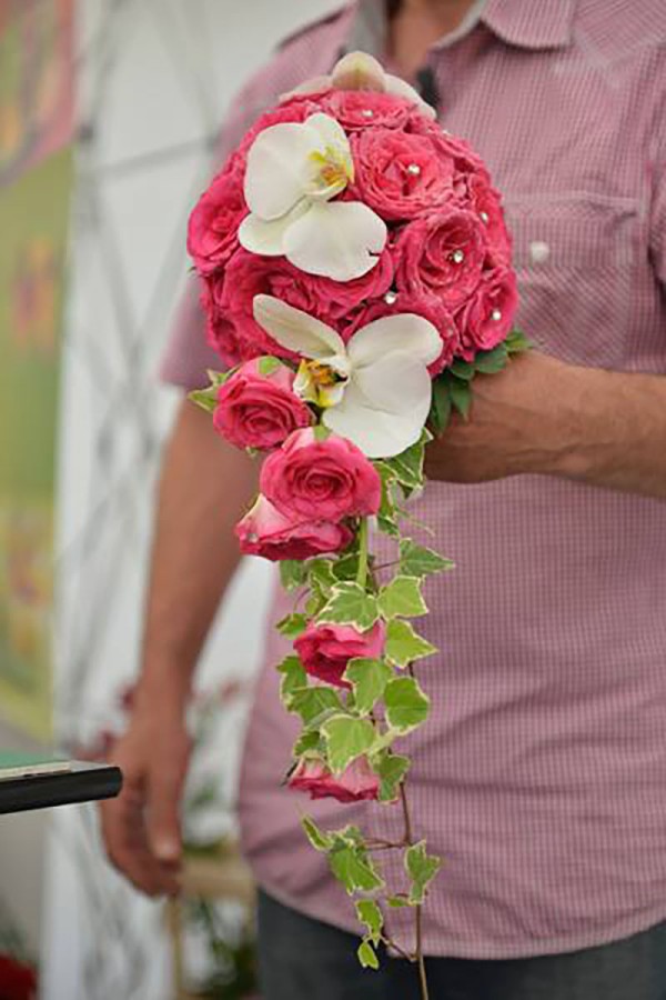 Cvećara Gerber - Florela