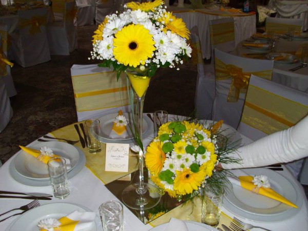 Cvećara Gerber - Florela