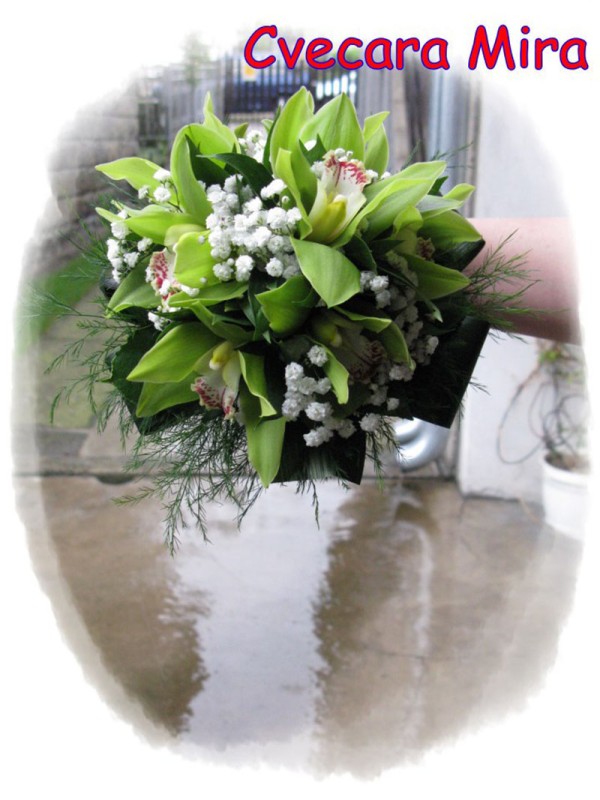 Cvećara Mira